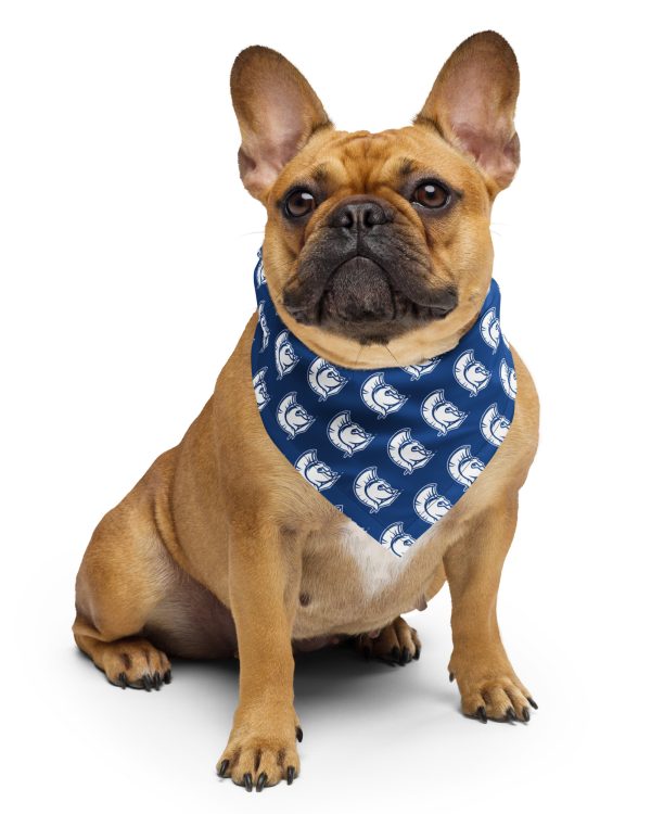 Spartan Head Bandana