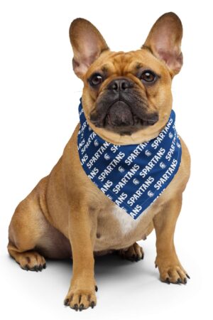 Spartans Multi-Pattern Bandana
