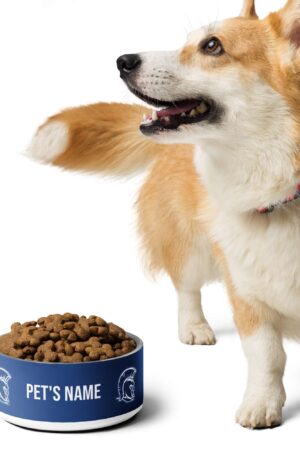 Personalized Pet bowl