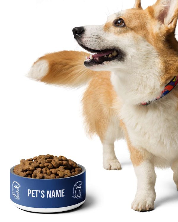 Personalized Pet bowl