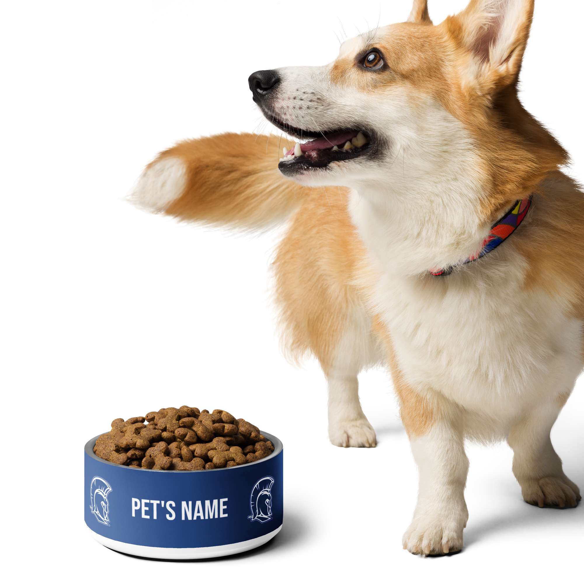 Personalized Pet bowl