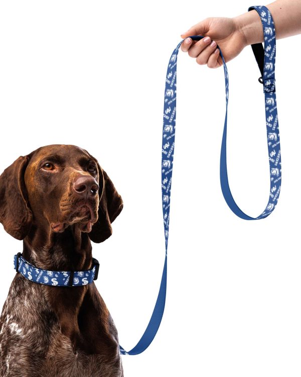 Patterned Pet collar & leash